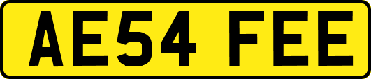AE54FEE