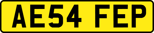 AE54FEP