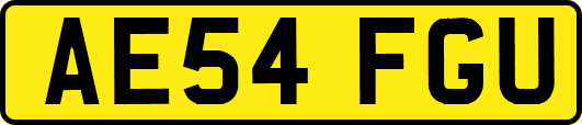 AE54FGU