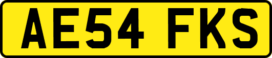 AE54FKS