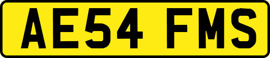 AE54FMS