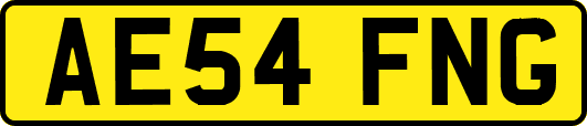 AE54FNG