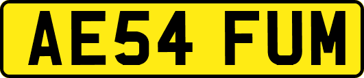 AE54FUM
