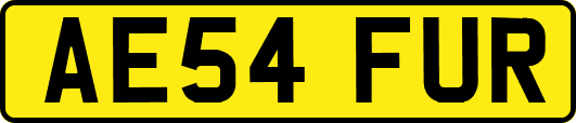 AE54FUR