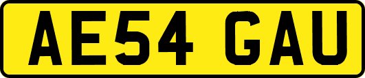 AE54GAU