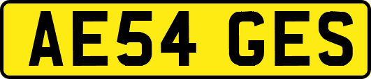 AE54GES