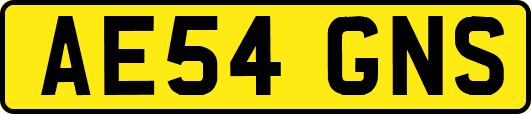 AE54GNS