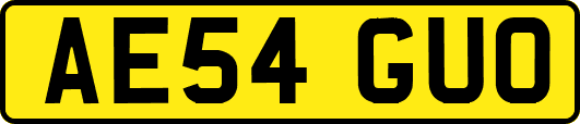 AE54GUO