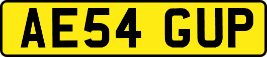AE54GUP