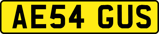 AE54GUS