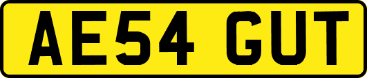 AE54GUT