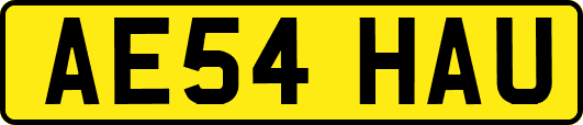 AE54HAU