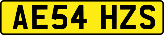 AE54HZS