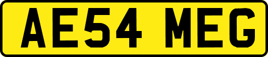AE54MEG