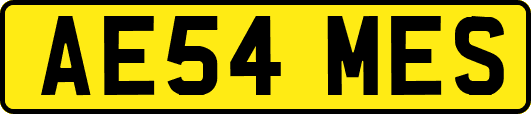 AE54MES