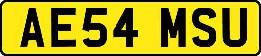 AE54MSU