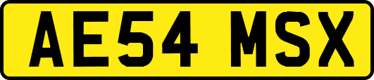 AE54MSX