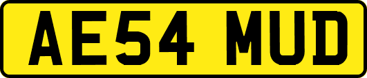 AE54MUD