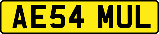 AE54MUL