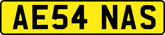 AE54NAS