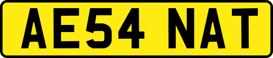 AE54NAT
