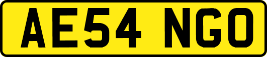 AE54NGO