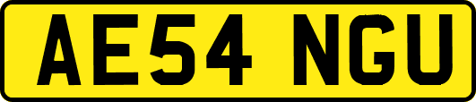 AE54NGU