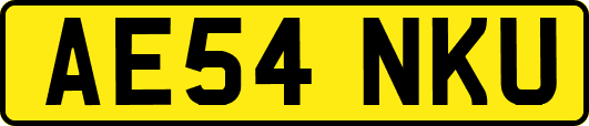 AE54NKU