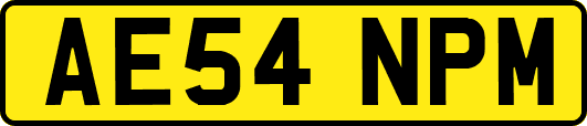 AE54NPM