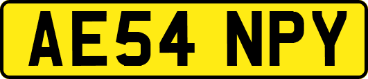 AE54NPY