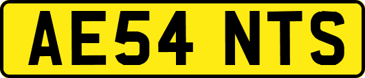 AE54NTS