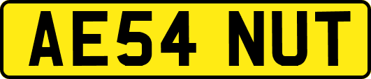 AE54NUT