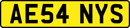 AE54NYS