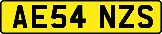 AE54NZS