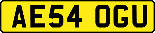 AE54OGU