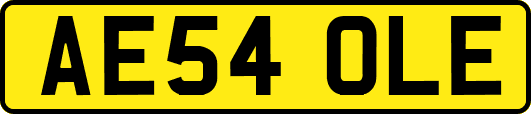 AE54OLE