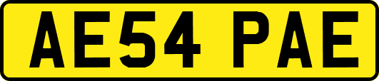 AE54PAE