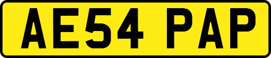 AE54PAP