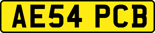 AE54PCB