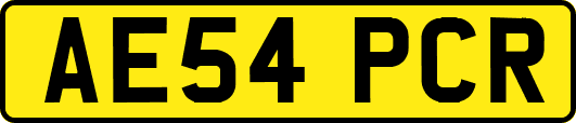 AE54PCR