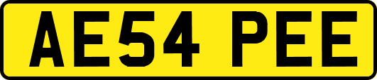 AE54PEE