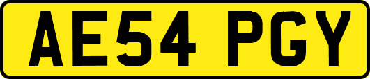 AE54PGY