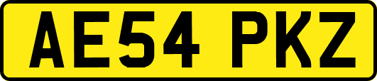 AE54PKZ