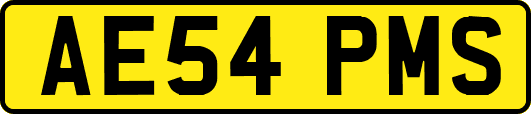AE54PMS