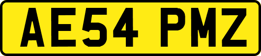 AE54PMZ