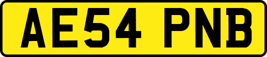 AE54PNB