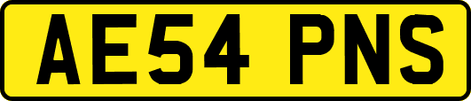 AE54PNS