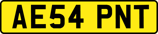 AE54PNT