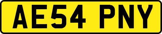 AE54PNY