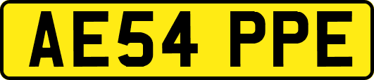 AE54PPE